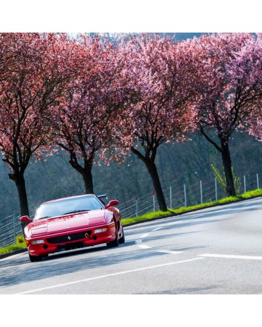 Superbe Ferrari 355 Challenge homologuée route